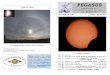 le foto dei lettorile foto dei lettori PEGASUS · 2011. 3. 23. · • Hanc Marginis – Le Lune di Marte fatte di mattoni • Flat Field per tutti – Gli schermi elettroluminescenti