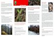 Nutzung der Biomasse aus dem Wald - Pro Silva Austria...Nutzung der Biomasse aus dem Wald Eine Entscheidungshilfe Wenn es um ein Problem geht – z.B. das Ausmaß der Entnahme von