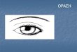 ΑΗblogs.sch.gr/vasileiod/files/2013/05/10.-ORASI-1.pdf · 2013. 5. 16. · ι υπάρχει μέσα στο μάτι; Είναι ένας στρογγυλός βολβός, που