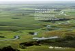 Natura 2000- plejeplan - Naturstyrelsennaturstyrelsen.dk/media/209207/n163_susaa_n2000plejeplan.pdf · 2017. 1. 17. · Natura 2000-plejeplan 2016-2021 3 1. Generelt Der er 20. april