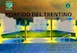 PORFIDO DEL TRENTINO · 2017. 1. 14. · ACTIVIDADES E.S.PO En 1972 los trabajadores del sector constituyen un Consorcio Voluntario bajo la denominación “Ufficio del Porfido”