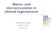 Macro- and microcirculation in clinical hypertension · 2015. 7. 7. · IMT Microcirculation ... J Clin Endocrinol Metab. 2006;91:5100–5106. Microvascular dysfunction in obesity