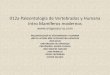 012a Paleontología de Vertebrados y Humana Intro Mamíferos ... · articulaciones suplementarias presentes en las vértebras lumbares El Isquion y el ilion están fusionados a las
