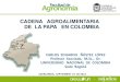 CADENA AGROALIMENTARIA DE LA PAPA EN COLOMBIA...2016/06/04  · El 8% de la producción nacional -224 mil toneladas por año- se destina al procesamiento industrial por parte de 70