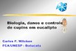 Biologia, danos e controle de cupins em eucaliptociflorestas.com.br/arquivos/doc_manejo_eucalipto_4937.pdf · 2015. 9. 29. · Controle de cupins-pragas em áreas florestais Controle