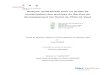 Analyse contextuelle pour un projet de numérisation des ... · développement territorial de l'Etat de Vaud Travail de Bachelor réalisé en vue de l’obtention du Bachelor HES