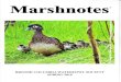 M&rshn&tes' - George C. Reifel Migratory Bird Sanctuary › marshspr2010.pdfF. Wayne Diakow Hugh A. Magee James A. Morrison Gerald O.S. Oyen Douglas B. Ransome Barney W. Reifel George