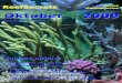 Oktober 2009 - Reefsecrets...Oktober 2009 Jaargang 3 – Nummer 5 Online Reefmagazine In deze uitgave Vergelijken van zouten Zelf maken: rifspoeling Ciliaten en koraalsterfte Dwergkeizers: