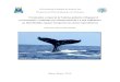 O tamanho corporal de baleias-jubarte (Megaptera novaeangliae) …nbcgib.uesc.br/ppgzoologia/wp-content/uploads/2018/07/... · 2018. 7. 20. · 1 Universidade Estadual de Santa Cruz