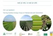 Dirk van Apeldoorn Farming Systems Ecology Group en ......Diversiteit werkt! 9 Beillouin et al 2019, DOI 10.1016/J.DIB.2019.103898 Biodiversiteit bodemkwaliteit Productie rotatie agroforestry