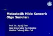 Metastatik Mide Kanseri · 2013. 6. 14. · 1 Metastatik Mide Kanseri: ... Patoloji: TM 4X5 cm Tümör serozaya infiltre 1/14 LN pozitif Az diferansiye adenokarsinoma ... toksik Faz