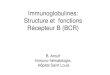 Immunoglobulines: Structure et fonctions Récepteur B (BCR)l2bichat2018-2019.weebly.com › uploads › 1 › 1 › 2 › 5 › ...• Neutralise les toxines bactériennes • Inhibe