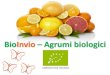 BIOINVIO – Agrumi biologici · 2019. 10. 7. · agrumi biologici e gestore delle aziende e del marchio BioInvio. Con la sua grande esperienza ha raggiunto risultati eccellenti