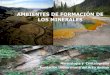 AMBIENTES DE FORMACIÓN DE LOS MINERALES · 2018. 2. 20. · estas rocas dan a lugar a un tipo de yacimientos de minerales denominados ortomagmaticos que contiene cantidades anómalas