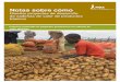Notas sobre cómo€¦ · Notas técnicas sobre cadenas de valor con enfoque de género, y sobre organizaciones de agricultores y acceso a mercados (P TA, 2014/2015) 1 Raswant V