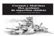 119 Coronel y Malvinas Dos acciones de superficie clásicas · 2015. 3. 25. · Graf Spee” en el Río de la Plata al despuntar la Segunda Guerra Mundial2, constituyen una trágica