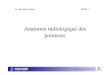 Anatomie radiologique des poumonscours2mn.o.c.f.unblog.fr/files/2013/01/arpoumons.pdf · 2013. 1. 20. · Anatomie radiologique des poumons Pr Jean-Marc Garcier DCEM 1 Dernière révision