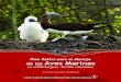 Jeisson Andrés Zamudio Asociación Calidris...Plan Básico para el Manejo de las Aves Marinas en el Parque Nacional Natural Gorgona - Pacífico colombiano 7 Presentación E n el marco