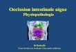 Physiopathologie de l’occlusion intestinale aiguemedecine.univ-batna2.dz/sites/default/files/medecine/...I. Définition •L’occlusion intestinale est définie par un arrêt du