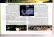 Kemenag Jatimjatim.kemenag.go.id/file/dokumen/279biliksantri.pdf · 2012. 1. 16. · Binti K H. Imron Kholil disebut Ibu Nyai Nadzifah "Cangkruk" — tempat kecii untuk duduk beristirahat