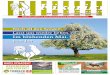 Kikeriki gehört zu den meist gelesenen Regionalzeitungen 2020.pdfAusgabe Mai 2020 Seite 5 Werbung Das Apfelholzschlössl BINDER ist Beratungsort und Ausstellungsraum für unsere gefertigten