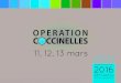 DOSSIER DE PRESSE - Les coccinelles · 2019. 5. 3. · OPERATION COCCINELLES L’ASBL « S.A.C. – Service d’Aide aux Coccinelles » a pour mission de gérer les levées de fonds