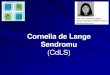 Cornelia de Lange Sendromu (CDL) · 2021. 1. 19. · Cornelia de Lange Sendromu (CdLS) Büyüme ve gelişme geriliği, Mental retardasyon Öğrenme güçlüğü, Fasial dismorfizm,