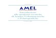 AMEL Electrochemistry - Introduzione alle moderne tecniche ......AMEL srl – Manuale di Voltammetria 4 Durante il processo di scarica la parte di soluzione a stretto contatto con