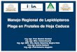 Manejo Regional de Lepidópteros Plaga en Frutales de Hoja Caduca · 2020. 9. 25. · Regional de Plagas en frutales en la Zona de Melilla en el período 2010 – 2013. • Disminuir