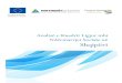 Analizë e Kuadrit Ligjor mbi Ndërmarrjet Sociale në Shqipëri · 2019. 6. 20. · mbështetjen financiare të Bashkimit Evropian nëpërmjet Delegacionit të Bashkimit Evropian