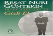 Reşat Nuri Güntekin - Gizli Elturuz.com/storage/her_konu-2019-7/7777-Gizli_El-Reshad... · 2019. 2. 14. · Gizli El, benim ilk romanımdır. Mütareke'nin ilk yılında Dersaadet