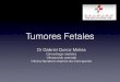 Tumores fetales copy - Sochumb...ejemplo: lesión tumoral compleja del tórax). Es muy importante y recomendable, como veremos a continuación, describir detalladamente los siguiente