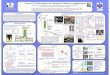 Al and Cl AMS system at the University of Tsukuba: A ... ams/AMS-10_Poster.pdfآ  Centrifugation (2000