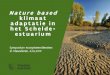 Nature based klimaat adaptatie in het Schelde- estuarium · 2019. 9. 4. · Samenwerken met natuur 1. VEILIGHEID Overstromingsrisico gedaald met 75% 2. NATUUR 14.000 ha aaneengesloten