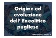 Origine ed evoluzione dell’ Eneolitico pugliese · 2020. 5. 11. · COPPOLA D. 2001-2002, Dal Neolitico all’Età dei Metalli in Italia Sud-orientale, in, Atti della Società Preistoria
