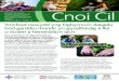 Cnoi Cil - Home | Public Health Network Cymru€¦ · a gweithgarwch corfforol yng Nghymru Cnoi Cil Chwefror 2012 | Rhifyn 34 Ymchwil newydd yng Nghymru’n datgelu bod garddio rhandir