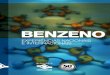 BENZENO · 2016. 8. 26. · Benzeno : experiências nacionais e internacionais [recurso ele-trônico] / Seminário Internacional Sobre o Benzeno; coordenação técnica, Arline Sydneia