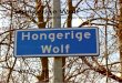 Hongerige Wolf - Hanze · 2014. 8. 21. · opwinding merk je niet veel meer als je het dorpje doorfietst. Na Ganzedijk houdt het fietspad op, je moet de weg op. Gelukkig niet lang,
