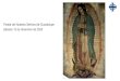 Fiesta de Nuestra Señora de Guadalupe … · Y a los ricos los despide vacíos Los despide vacíos Proclama mi alma Auxilia a Israel, su siervo Acordándose de su misericordia Como
