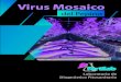 Virus Mosaico del Pepino Jul/18 - Fertilab€¦ · Virus Mosaico del Pepino Jul/18 I mportancia El pepino es de los cultivos que tienen mayor potencial de producción a nivel mundial,