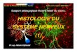 HISTOLOGIE DU SYSTÈME NERVEUXcytogenetiquedesousse.y.c.f.unblog.fr/.../systmenerveux1.pdf · 2009. 10. 22. · HISTOLOGIE DU SYSTÈME NERVEUX Support pédagogique illustré relatif