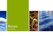 Biomasa - IPAQ PETA · 2020. 3. 17. · 2 22. srpnja 2012. Mjesto za tekst podnožja ... •uzgoj brzorastućeg drveća za proizvodnju goriva 8 22. srpnja 2012. Mjesto za tekst podnožja