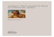 Jordaens: Sátiro tocando la flauta (La infancia de Júpiter) · 2018. 9. 24. · 3 E l Sátiro tocando la flauta de Jacob Jordaens del Museo de Bellas Artes de Bilbao [fig. 1], ingresado