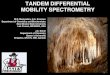 TANDEM DIFFERENTIAL MOBILITY SPECTROMETRYionmobility.nmsu.edu/files/2014/02/ISIMS-2012.pdf · 2014. 2. 7. · M. R. Menlyadiev, J.A. Stone, G.A. Eiceman, “Tandem differential mobility