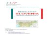 Newsletter Slovenia - Gennaio-Febbraio 2014...Ufficio di Lubiana Sezione per la promozione degli scambi dell'Ambasciata d'Italia NEWSLETTER SLOVENIA GENNAIO-FEBBRAIO 2014 CONTATTI