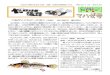 3612011-3.doc)hirose.my.coocan.jp/Images/jijyu/kaihou/2011-3.pdfふるさと侍従川川川川にににに親親親親しむしむ 報 報 だぼはぜだぼはぜ通信磼15号号号