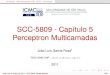 SCC-5809 - Capítulo 5 Perceptron Multicamadaswiki.icmc.usp.br/images/a/a3/SCC5809Cap5.pdf · 2018. 9. 25. · Introdução Back-propagation (BP)MLPsConvolução SCC-5809 - Capítulo