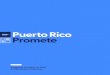 Programa de Gobierno 2020 Partido Nuevo Progresista...Tercer Sector: Contrato Social 158 PRIDE Puerto Rico: Identidad, Diversidad y Equidad 160 Maltrato y Sobrepoblación de Animales: