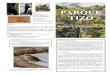 Tizo - Cartilha para o site parquivos.ambiente.sp.gov.br/parquejequitiba/2012/03/... · 2017. 1. 11. · Árvores brasileiras: manual de identificação e cultivo de plantas arbóreas