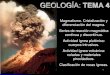 GEOLOGÍA: TEMA 3.200.45.54.93/carreras/docs/04 GEOLOGÍA tema 4.pdf · 2020. 6. 10. · 7 Origen del magma El magma se origina a partir de la fusión total o parcial de rocas localizadas